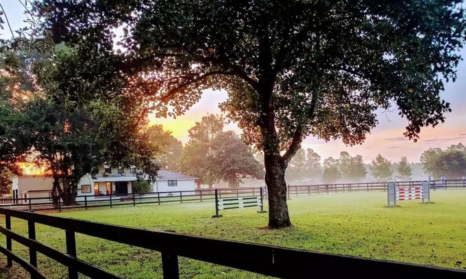 Aiken Apartamento | Unique in-law suite on Horse Farm