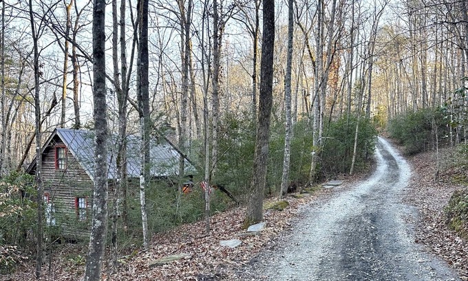 Tigerville Cabina | Unique Off Grid Cabin|Pet Friendly|Secluded