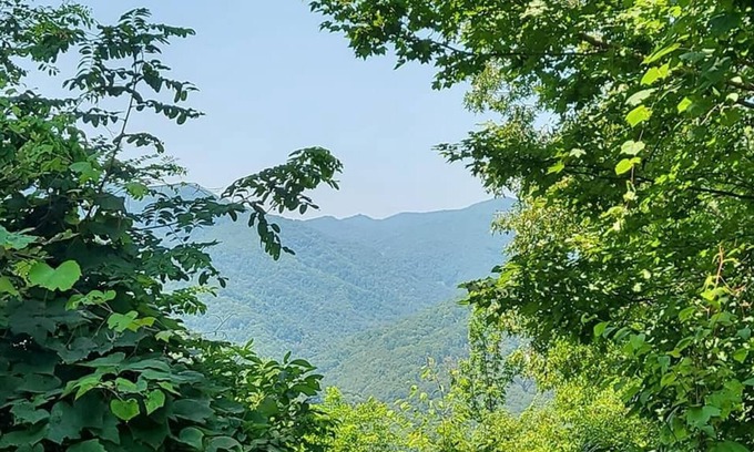 Maryville Cama Y Desayuno | Unit #7 Picnic Tables Dragon Depot at Dragon City