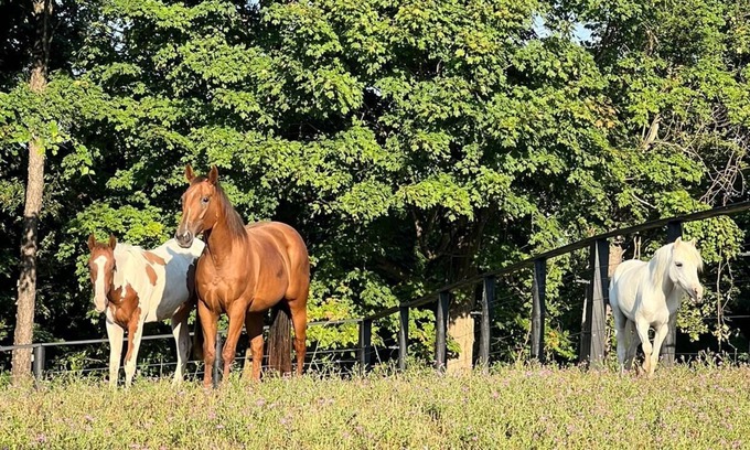 Beaverdam Lake-Salisbury Mills Casa | Cozy Getaway on a 50 Acre Historic Ranch