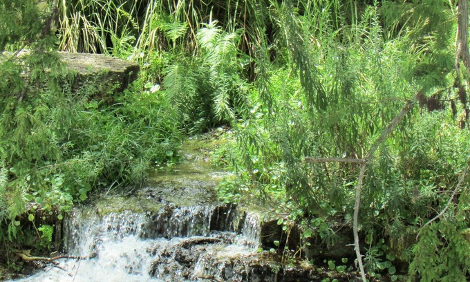 Utopia Casa | Utopia Springs at Lost Maples ~ Fachada del río Sabinal de Crystal Clear con fuente de primavera