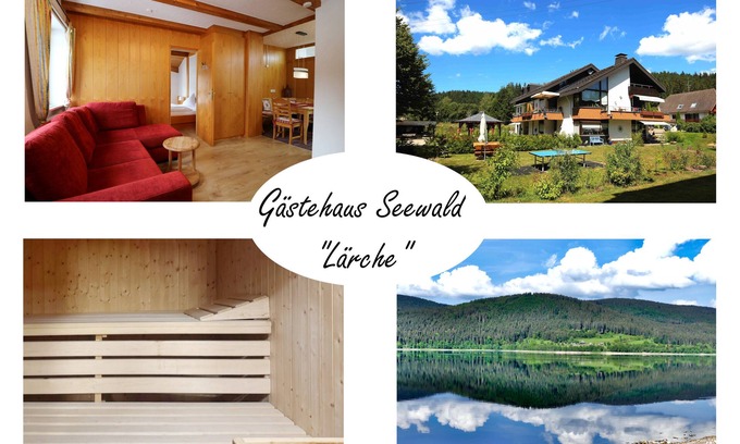Blasiwald Apartamento | Vacation apartment/apartment for 4 guests with 43m² in Schluchsee (268610)