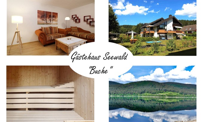 Blasiwald Apartamento | Vacation apartment/apartment for 3 guests with 50m² in Schluchsee (268611)
