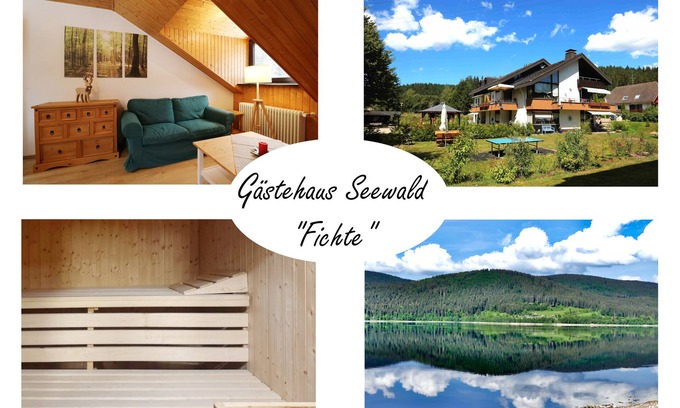 Blasiwald Apartamento | Vacation apartment/apartment for 2 guests with 35m² in Schluchsee (268615)
