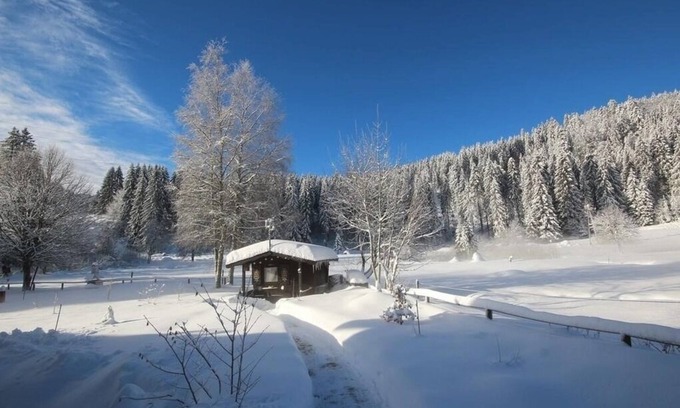 Blasiwald Apartamento | Vacation apartment/apartment for 2 guests with 30m² in Schluchsee (268616)