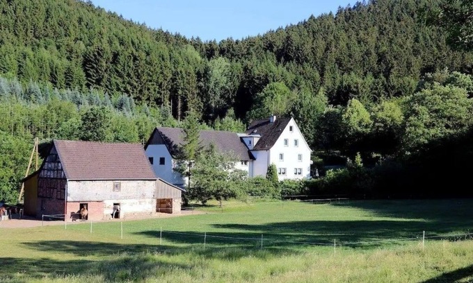 Sundern Apartamento | Vacation apartment/apartment for 4 guests with 80m² in Sundern (250891)