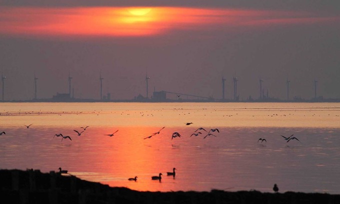 Jemgum Apartamento | Holiday house Naturblick Fewo2 kl. - Apartments Naturblick, 45185