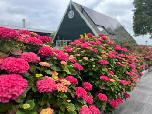 Wijdenes Casa | Vakantiehuis Het Uilennest