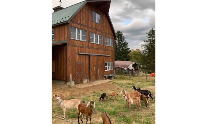 Beaver Dams Otro | Valley View Farm Retreat