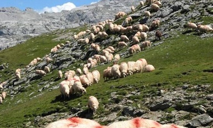 Lanne-en-Baretous Casa | Habitación Vanda 5 personas - casa de huéspedes Mariposa
