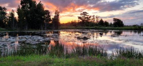 Rheenendal Casa | Varykino Estate