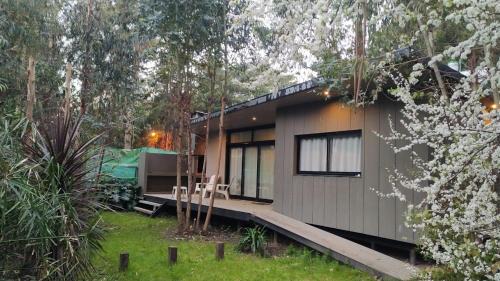 Necochea Cabina | Vida en el bosque