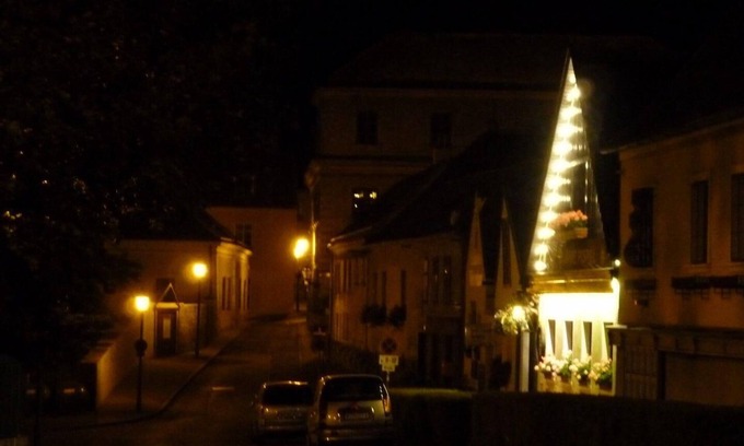 Heiligenstadt Villa | Junto al Danubio - Casa rural de Viena (casa de campo con jardín)