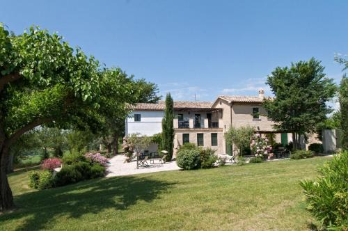 Morro d'Alba Apartamento | Vigna Sant' Amico Country House