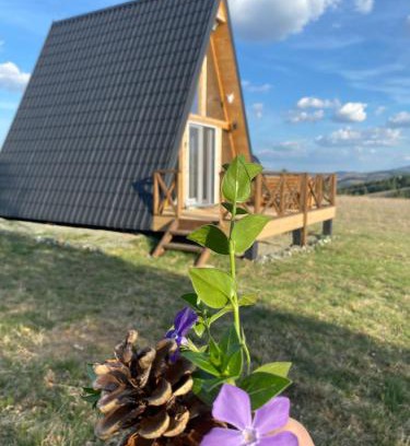Central Serbia Chalet De Esquí | Vikendica "Koliba kraj puta"