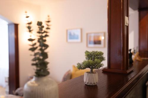 Radaljica Casa | Vila Bonsai Golija