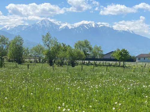 Rasnov Casa | Vila Dor de Munti