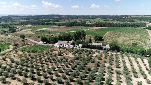 Venta del Moro Casa | VILASIRA (Rooms & Wines)