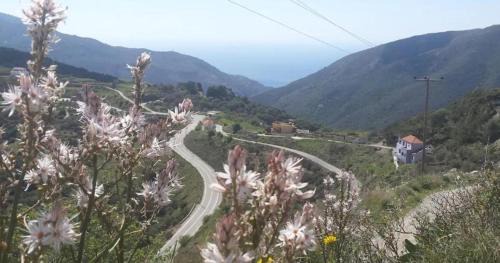 Kantanos-Selino Apartamento | VILLA APHRODITE SOUGIA apt1