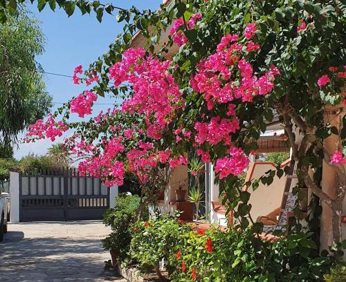 San Lorenzo Casa | Villa Clarissa a San Lorenzo