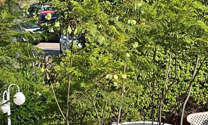 El Grao de Castellon Casa | Villa Grao Rental Holidays REF 053