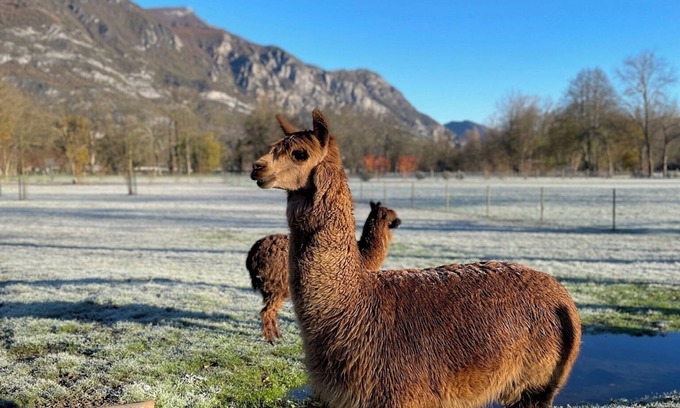 Ayzac-Ost Villa | Vrbo Property