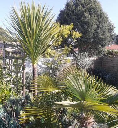 Saint-Jean-de-Monts Cama Y Desayuno | Villa Les Palmiers