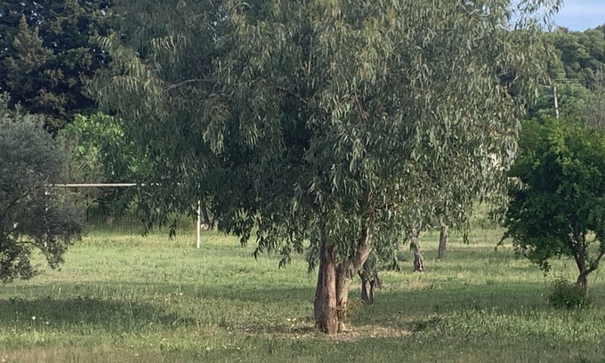 St.-Remy-de-Provence Villa | VILLA MARIA THE HOUSE OF HAPPINESS