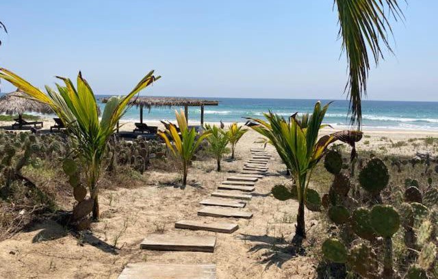 Barra de Colotepec Casa | Villa Palmeras Puerto Escondido Beachfront