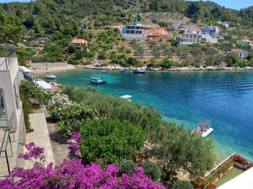 Vela Luka Apartamento | Villa Rosa