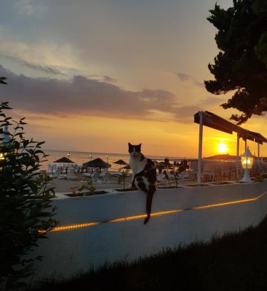 Yavansu Mahallesi Hotel | Villa Sevilla