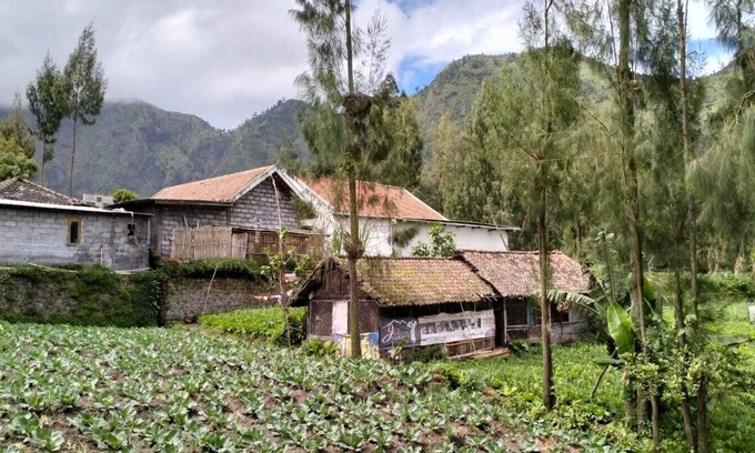 Ngadisari Villa | Villa Tengger Asri 5 Gunung Bromo