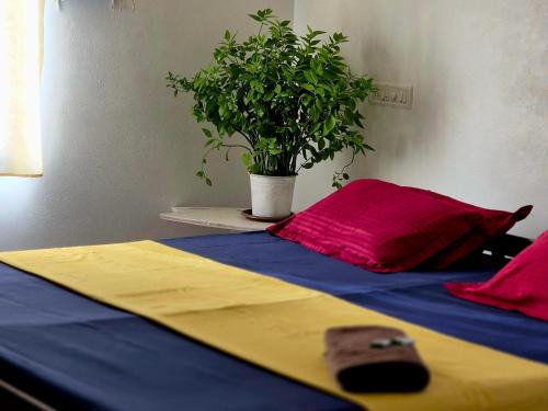 Varkala Casa | Villa Vibes of Varkala Homestay