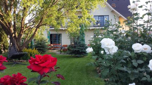 Targu Secuiesc Casa | Villa Westfalia Guest House & SPA