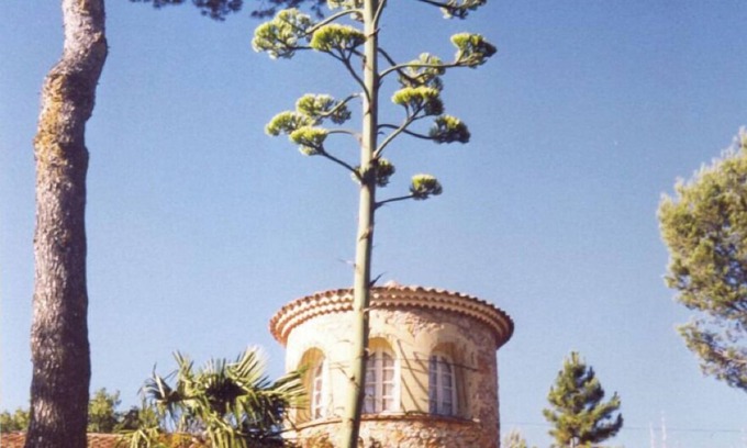 Lorgues Villa | casa / villa - 6 cuartos - 8 Personas