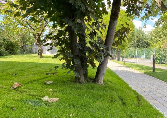 Villanova Casa | Villanova 4 Rooms