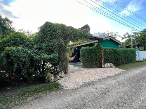 Cabuya Casa | Villas Casa Paz