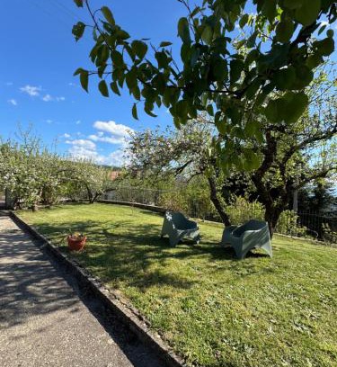 Rose Casa | Villetta Indipendente fra i pini della Sila CS