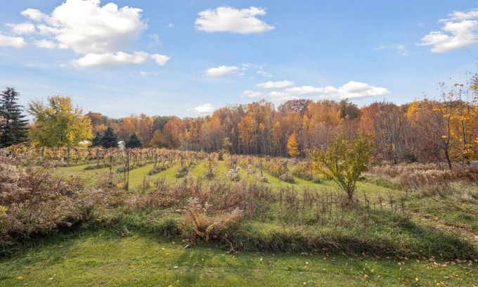 Morrison Casa | Vineyard View near Winery in Country Side