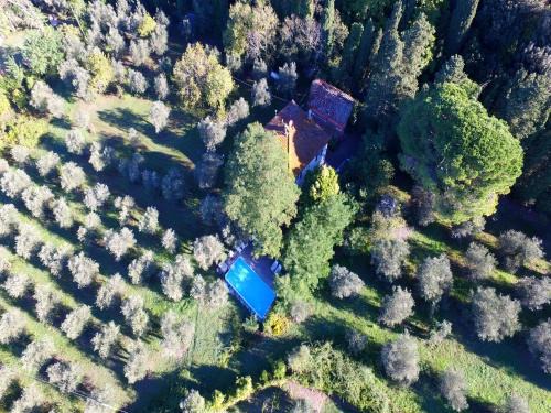 Ghizzano Casa | Vino, Views and Relaxing Stay