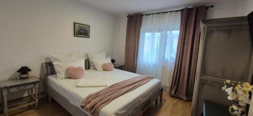 Tirgu Jiu Apartamento | Vintage Central Apartament