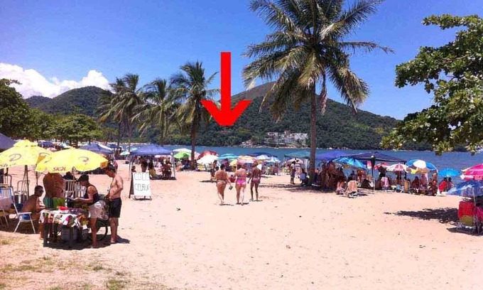 Martim de Sa Casa | Vista do mar