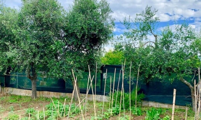 Cagnano Varano Condominio | Vrbo Property