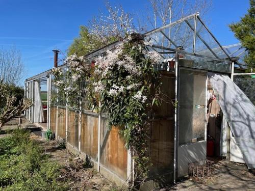 Hank Casa | Vrijstaande accommodatie Glamping de Kas InN