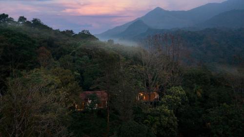 Vythiri Complejo | Vythiri Mist Resort