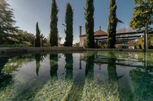 Ronfe Villa | W430 Guimarães