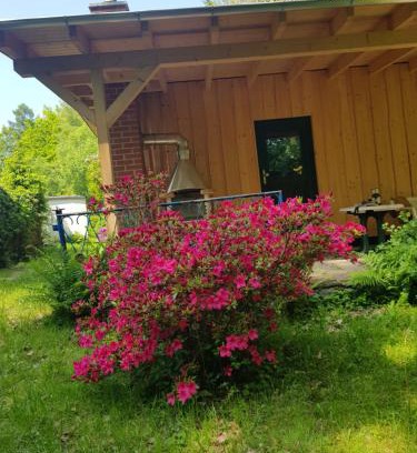 Oelsnitz/Erzgeb. Apartamento | Waldbadhäusel Naturbad-Bungalow