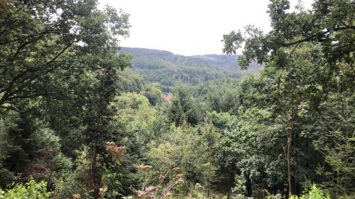 Bad Grund Apartamento | Waldläufer
