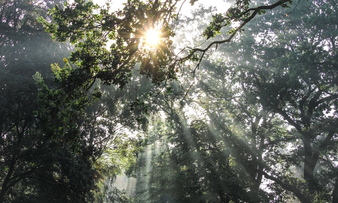 Grossenkneten Apartamento | Walter | Gut Moorbeck - Holiday rooms