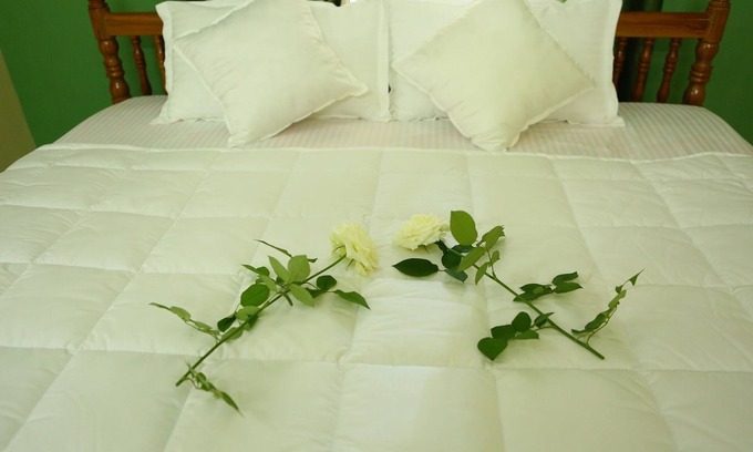 Kolagappara Cama Y Desayuno | Wayanad Stay- Una estancia en casas de plantación